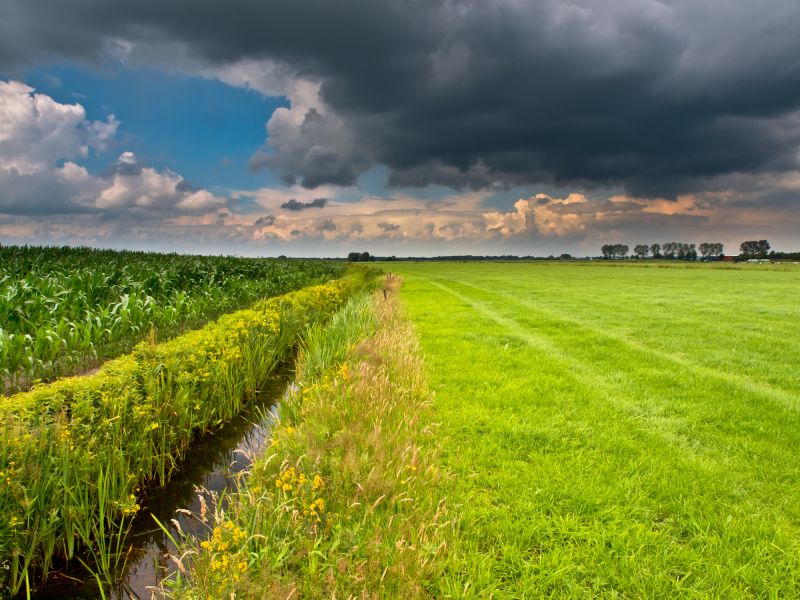 Landscape Drainage Service
